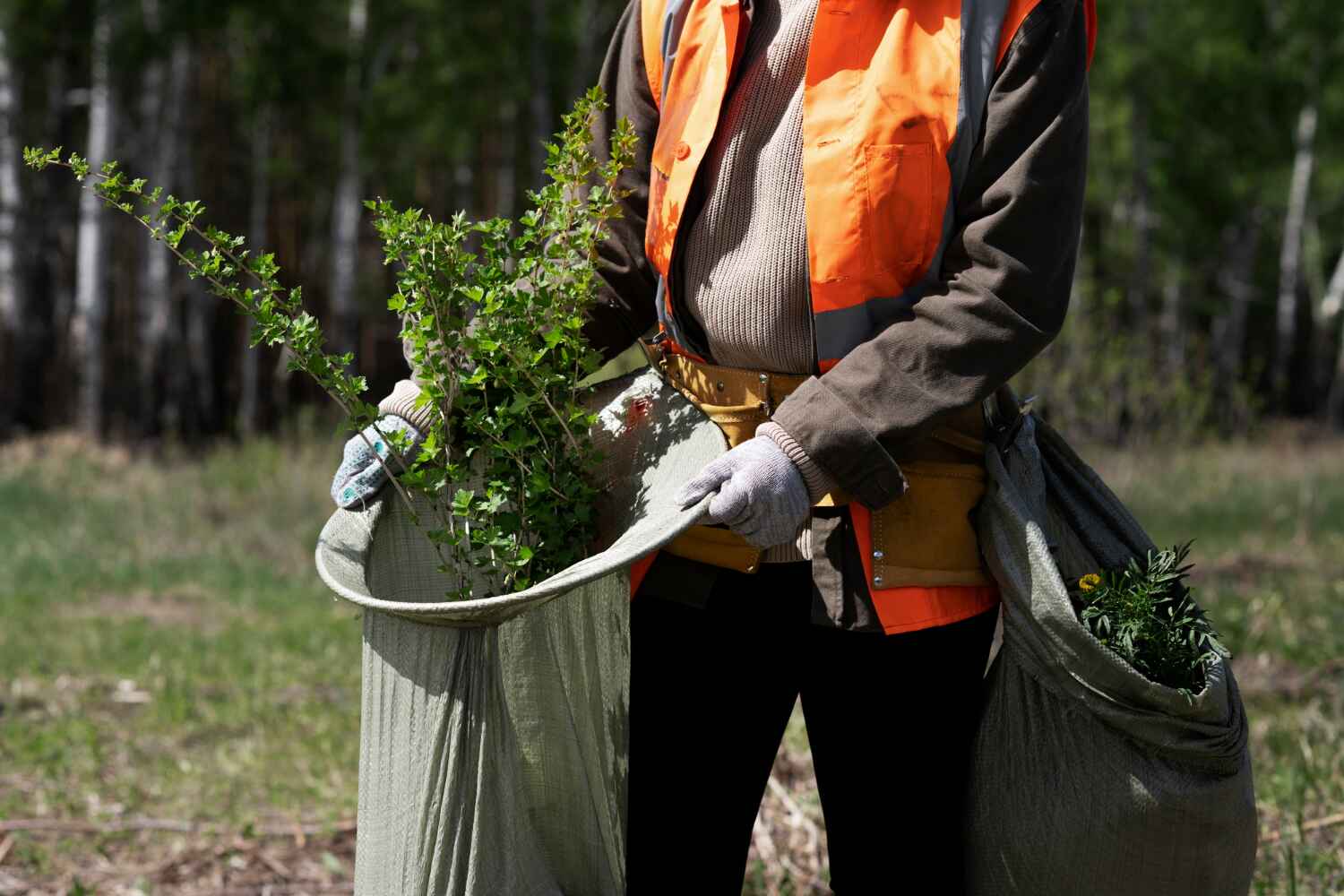 Best Tree Cutting Near Me  in Boulder Hl, IL